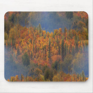 Schönheit im Herbst.... Mousepad