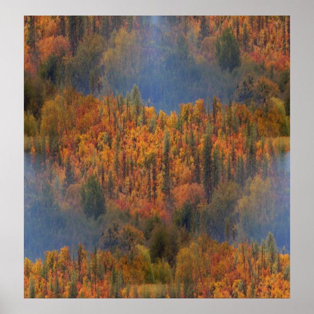 Schönheit im Herbst.... Poster (Vorne)
