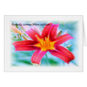 Schönheit im Inneren