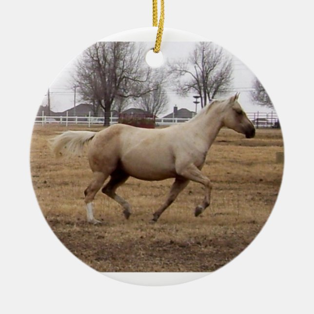 Schönheit im Motion-Ornament Keramik Ornament (Vorne)