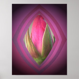 Schönheit im Schatten Poster