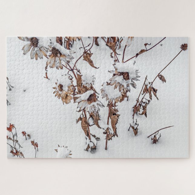 Schönheit im Winter - 1014 Stück Puzzle (Horizontal)