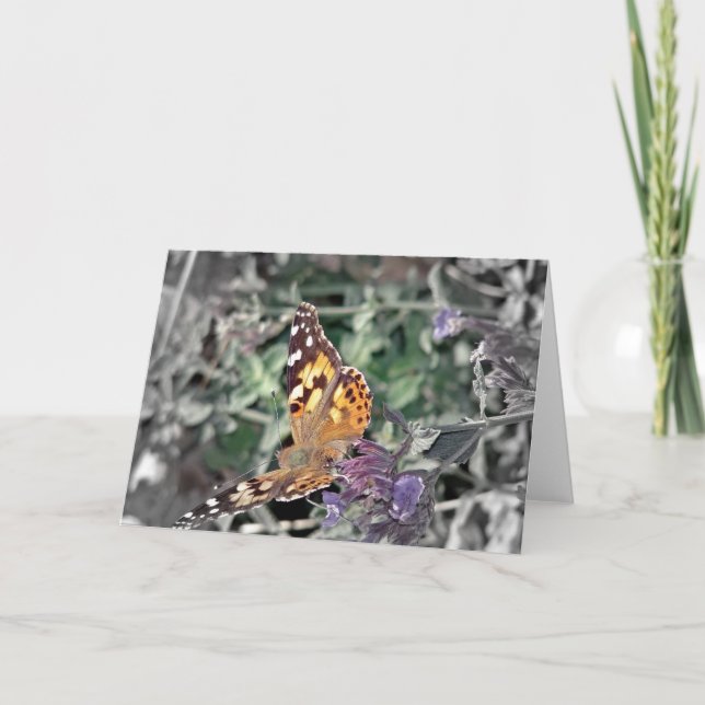 Schönheit in der Natur Karte (Vorderseite)