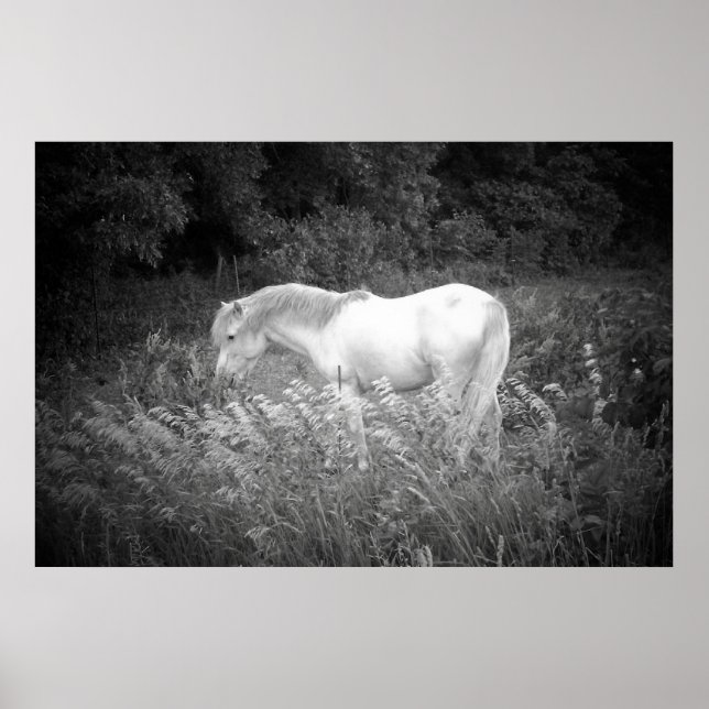Schönheit in Schwarz und Weiß Poster (Vorne)