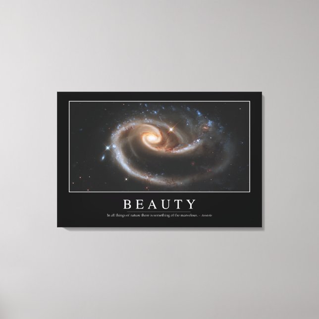 Schönheit: Inspiration 3 Leinwanddruck (Vorderseite)