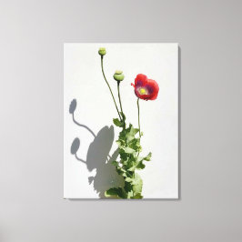 Schönheit ist auch die Bestie. Leinwanddruck