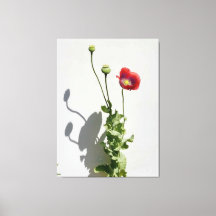 Schönheit ist auch die Bestie.