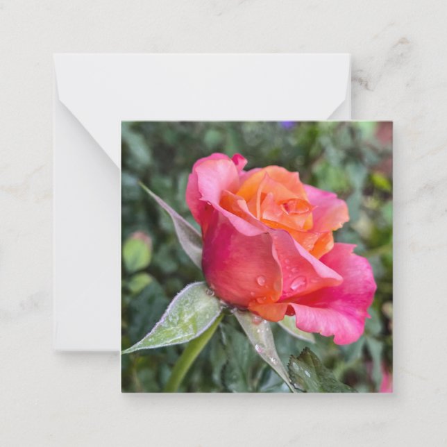 Schönheit Mitteilungskarte (Vorderseite)