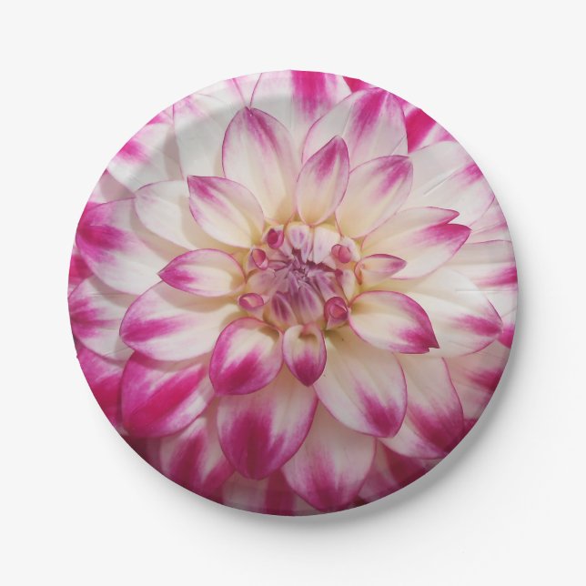 Schönheit Pappteller (Vorderseite)