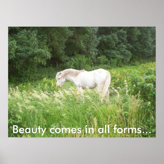 Schönheit Poster (Vorne)