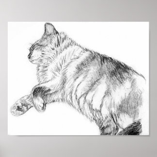 Schönheit schlafen poster