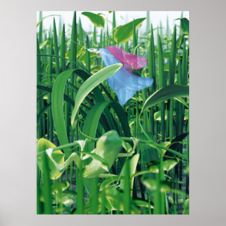 Schönheit und Bestien Poster