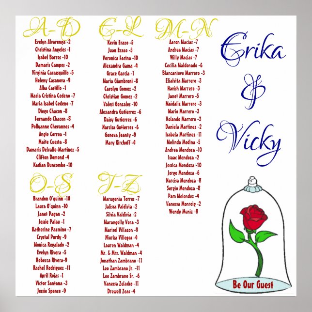 Schönheit und das Bestickungsdiagramm Poster (Vorne)