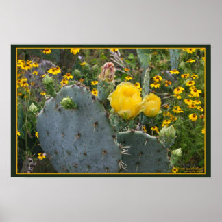 Schönheit und das Biest Poster