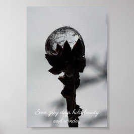Schönheit und Staunen gefrorene Rindrop Poster