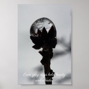 Schönheit und Staunen gefrorene Rindrop Poster