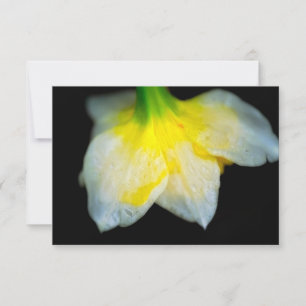 Schönheit unter dankeskarte