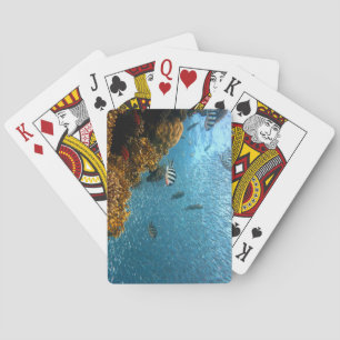Schönheit unter Wasser, Fisch und Korallen Spielkarten