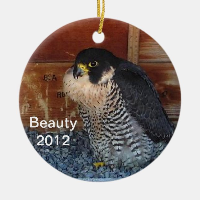 Schönheits-Verzierung 2012 Keramik Ornament (Vorne)