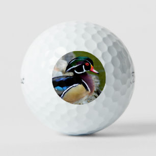 Schönheitspflege der Holzenteiche Vogelbeobachtung Golfball