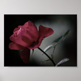 Schönheitspresse der Liebe Poster