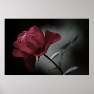 Schönheitspresse der Liebe Poster