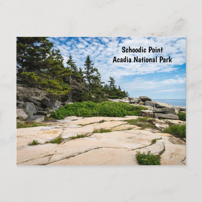 Schoodic Point in Acadia National Park in Maine Postkarte (Vorderseite)