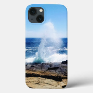 Schoodic Point iPhone Fälle Case-Mate iPhone Hülle
