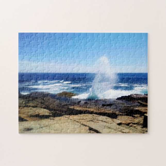 Schoodic Point Puzzle (Horizontal)