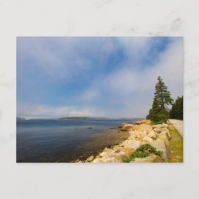 Schoodische Halbinsel, Acadia Nationalpark, Maine Postkarte (Vorderseite)