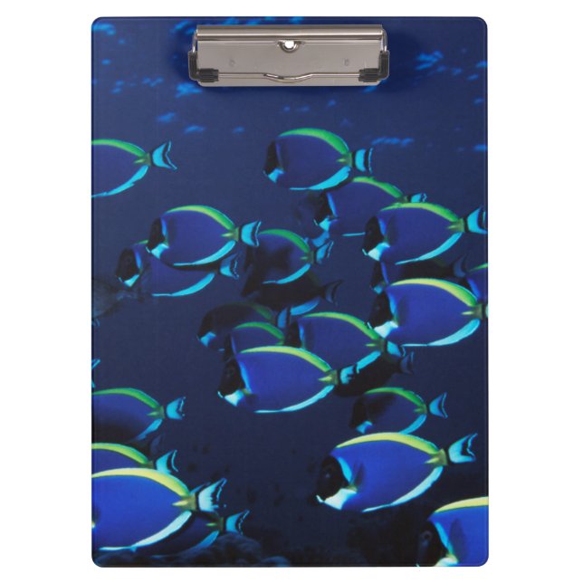 Schooling Powder Blaue Chirurgen Klemmbrett (Vorderseite)