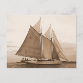 Schooner Adventuress Postkarte