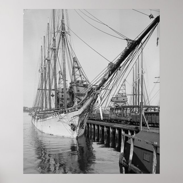 Schooner Paul Palmer Poster (Vorne)
