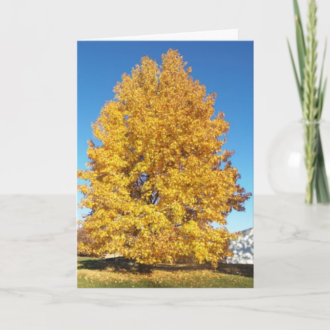 Schöpfungswunder/Herbst Karte (Vorderseite)