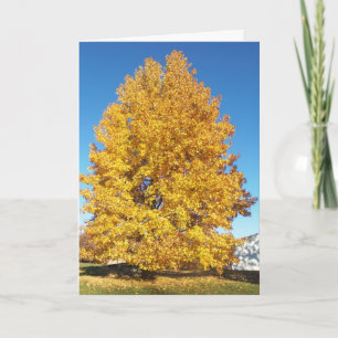 Schöpfungswunder/Herbst Karte