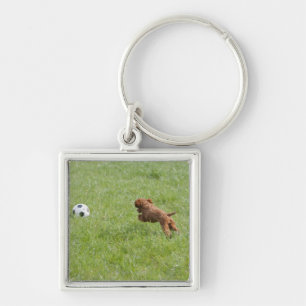 Schoßhund, der Fußball im Park nachläuft Schlüsselanhänger