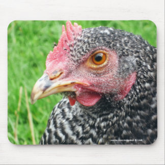 Schotte-graue Henne-Huhn - Geflügel Mousepad