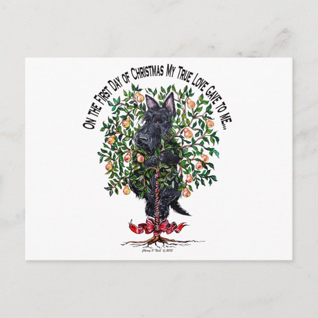 Schotte in einem Birnenbaum Postkarte (Vorderseite)