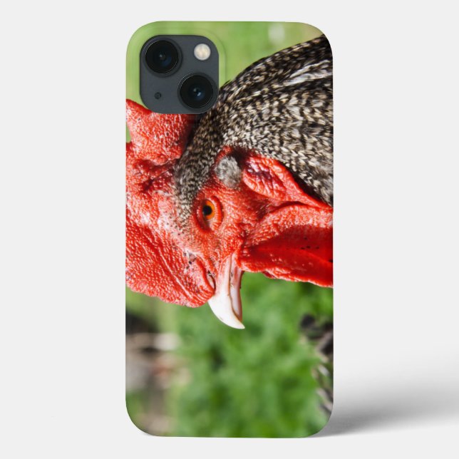 Schotten Gray Rooster Foto Case-Mate iPhone Hülle (Rückseite)
