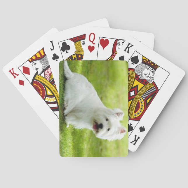 Schotter Spielkarten (Rückseite)