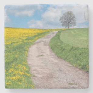 Schotterstraße und Baum Steinuntersetzer