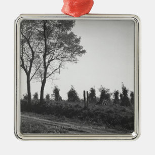 Schotterweg durch Feld B&W Ornament Aus Metall
