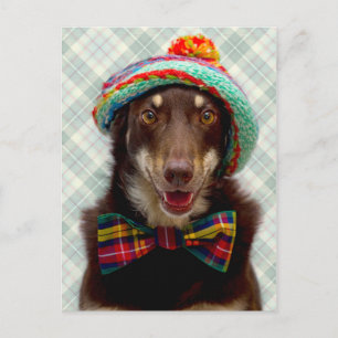 schottisch postkarte