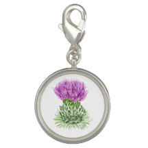 Schottische Distel
