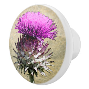 Schottische Distel Keramikknauf