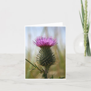 Schottische Distel Notecard Karte