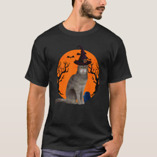 Schottische Fold-Katze Süße Halloween-Hexenhut und T-Shirt