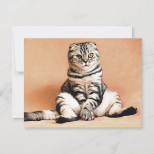 Schottische gedeckte Katze Sitzplatz auf einem Sof Postkarte