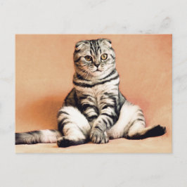 Schottische gedeckte Katze Sitzplatz auf einem Sof Postkarte