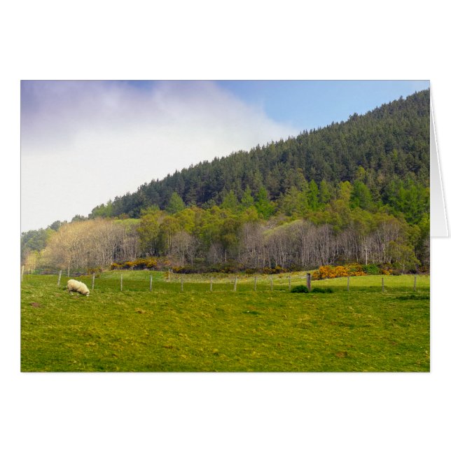 Schottische Highlands-Landschaft (Vorderseite (Horizontal))